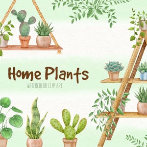Acuarela suculenta, cactus y plantas de interior clipart, plantas realistas de interior digitales, pegatinas del planificador