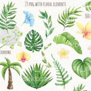May include: 23 watercolor illustrations of tropical plants and flowers, including palm trees, monstera leaves, hibiscus, orchids, and frangipani. The images have transparent backgrounds and are 300 DPI.