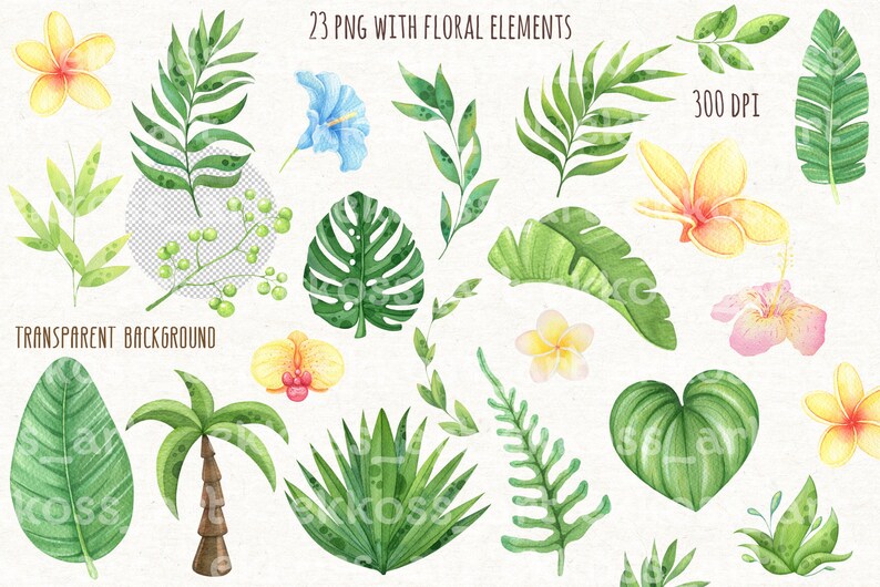May include: 23 watercolor illustrations of tropical plants and flowers, including palm trees, monstera leaves, hibiscus, orchids, and frangipani. The images have transparent backgrounds and are 300 DPI.