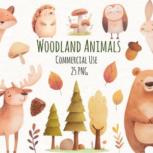 Woodland Animals Clipart, Woodland Baby Shower Clipart, Woodland Nursery PNG