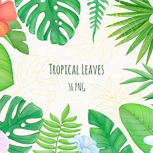 Tropical Summer Clipart, Tropical Flowers, Leaves, PNG