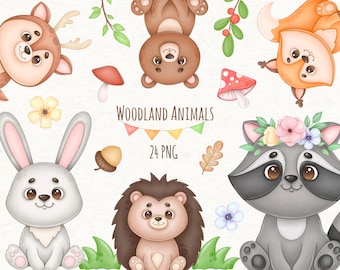 Imágenes Prediseñadas de animales del bosque de acuarela, animales del bosque Png