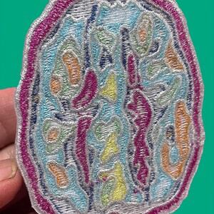 May include: A colorful embroidered patch shaped like a brain with a pink border. The brain is filled with swirls and lines in shades of blue, green, yellow, and orange.