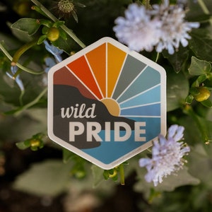 May include: A hexagonal sticker with a colorful sunset design and the text "wild PRIDE" in black.
