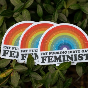 Feminist Vinyl Sticker: Fat Positive Rainbow Decal image 6