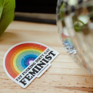 Feminist Vinyl Sticker: Fat Positive Rainbow Decal image 7