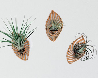 Air Plant Hanging Holder, Home Office Plants Display, Plant Lover Gift Geometric Wall Mounts for Indoor Garden Ornaments