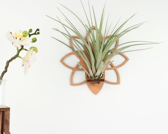 Geometric Air Plant Holder, Wooden Wall Hanging Display, Office or Home Decor Plant Lover Gift Wall Mounts for Indoor Garden Ornaments