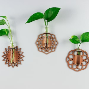 Propagation station Hanging hydroponic planter system Wall glass tube vase Minimalist modern vases to propagate indoor house plants cuttings