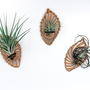 Air Plant Holder, Wooden Wall Hanging Display, Office or Home Decor Plant Lover Gift Geometric Wall Mounts for Indoor Garden Ornaments