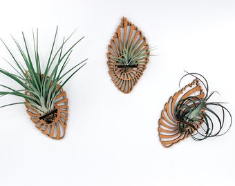 Air Plant Holder, Wooden Wall Hanging Display, Office or Home Decor Plant Lover Gift Geometric Wall Mounts for Indoor Garden Ornaments