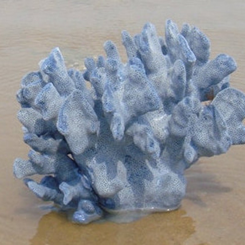 Coral Home Decor - Etsy
