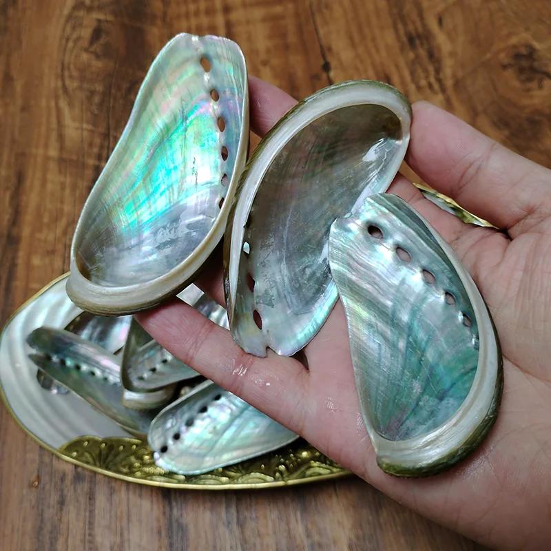アワビ貝殻8個（6～10cm）：天然貝殻のホームデコレーション - Etsy 日本