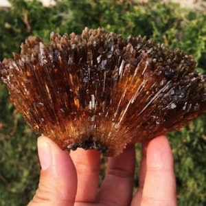 Rare Yellow Amber Calcite Crystal Specimen: Natural Mineral Stone