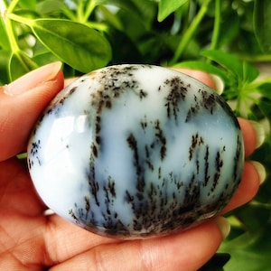 May include: A smooth, white agate sphere with black dendritic patterns. The sphere is polished and has a glossy finish.