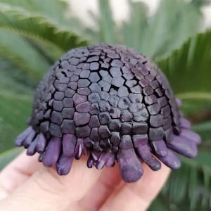 May include: A unique, dark purple flower with a textured, geometric pattern on its dome-shaped head. The flower's base features multiple, elongated, purple petals. The image is set against a blurred green background, highlighting the flower's unusual form.