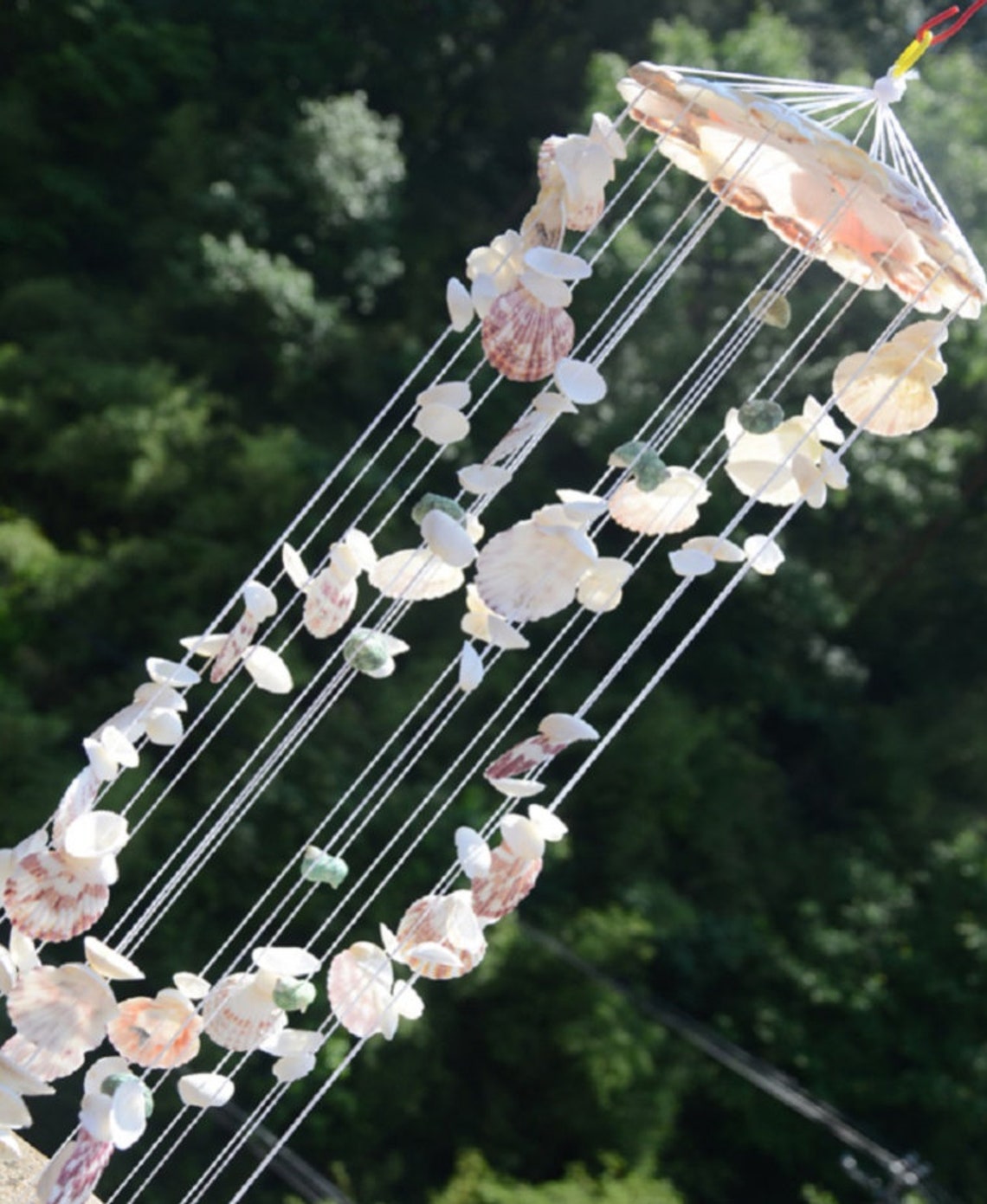 Natural Seashell Wind Chimes / Beach Cottage Seashell Wind Etsy