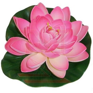 Lotus Lily Flower - Light Pink