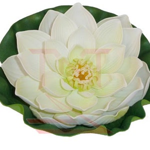 Lotus Lily Flower, White