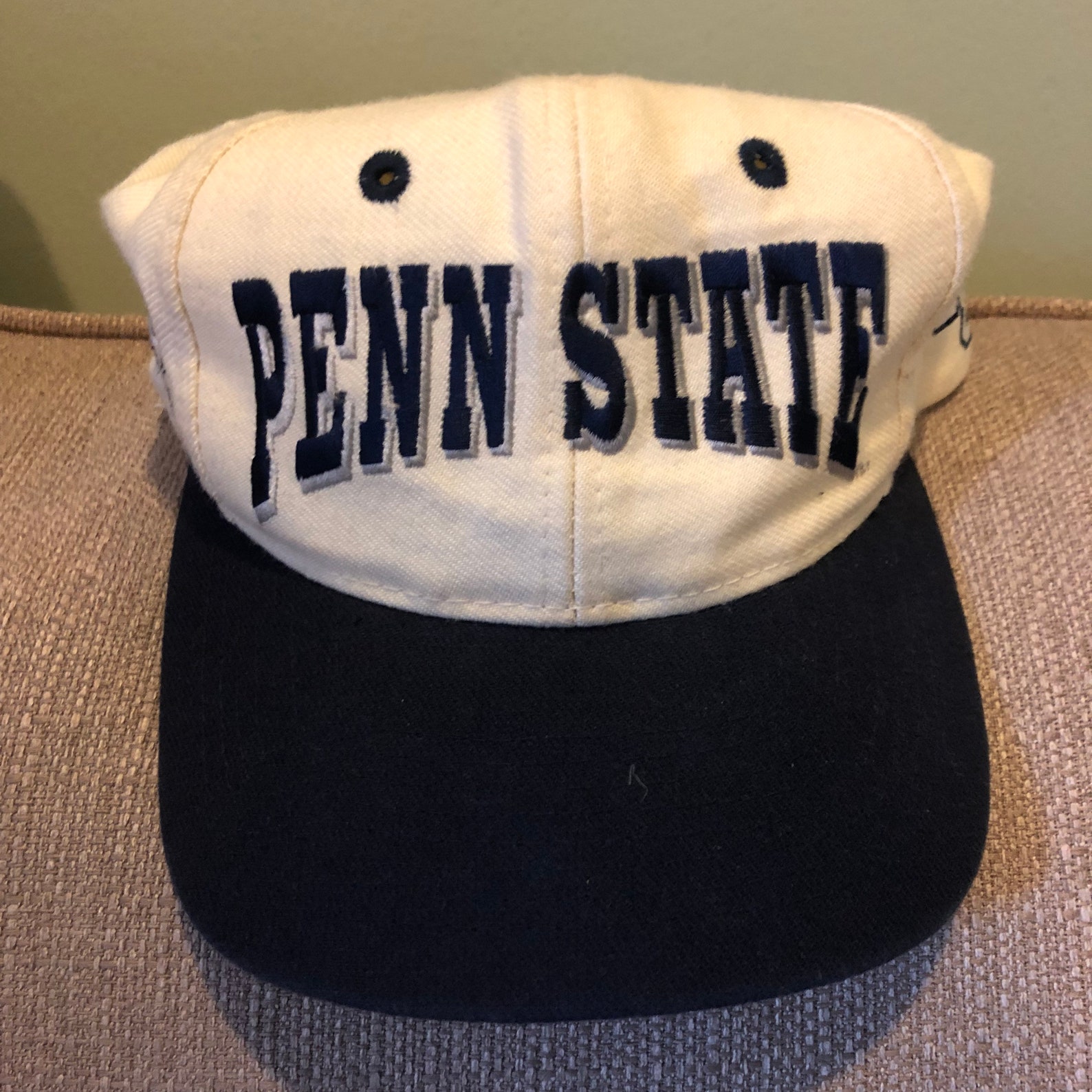 Vintage Penn State Cap Etsy