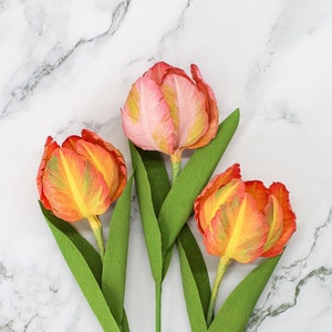 Close-up of a single pink crepe paper parrot tulip, showcasing realistic texture and color