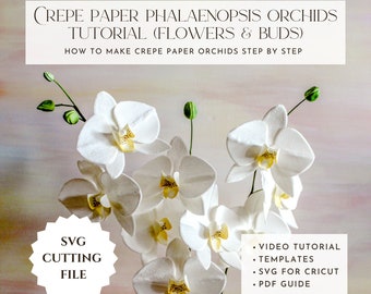 Crepe paper orchids flower template, svg for cricut, how to make, crepe paper flower tutorial, DIY paper flower, paper flower pattern, video