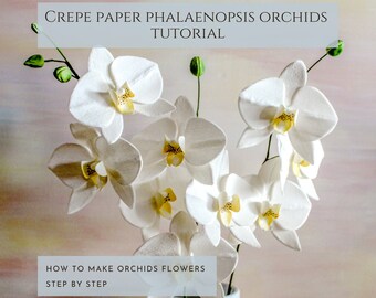 Crepe paper flower template, paper orchids, how to make, crepe paper flower tutorial, DIY paper flower, video tutorial, paper flower pattern
