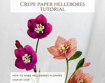 Crepe paper flower tutorial, paper hellebore, DIY paper flower, video tutorial, crepe paper flower template, how to make, pdf guide template