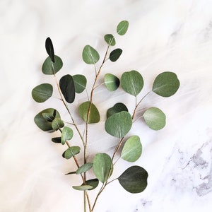Steli di eucalipto in carta crespa, verde realistico fatto a mano per bouquet, decorazioni per matrimoni e per la casa, accenti floreali ecologici, progetti fai da te