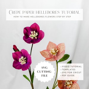 Tutorial per realizzare fiori di elleboro in carta crespa, fiori di carta fai da te, come realizzarli, modello per fiori di carta, svg per cricut, tutorial video, guida pdf