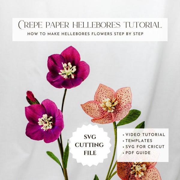 Crepe paper hellebore flower tutorial, DIY paper flower, how to make, paper flower template, svg for cricut, video tutorial, pdf guide