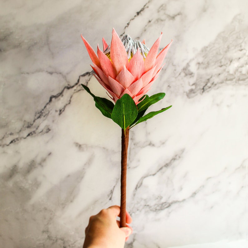 Crepe Paper King Protea Plant Summer Wedding Flowers Etsy