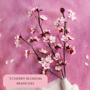 Puede incluir: Tres ramas de cerezo en flor con p&eacute;talos rosados y tallos marrones oscuros sobre un fondo rosa. El texto "3 CHERRY BLOSSOM BRANCHES" es visible en la parte inferior de la imagen.
