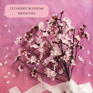 Puede incluir: Doce ramas de cerezo de papel con flores rosas y tallos marrones dispuestas en un ramo sobre un fondo rosa. El texto "12 CHERRY BLOSSOM BRANCHES" est&aacute; en un rect&aacute;ngulo blanco en la parte superior de la imagen.