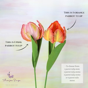 Infographic detailing the anatomy of a handmade crepe paper parrot tulip, showing realistic petals