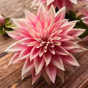 Crepe paper dahlia flower bouquet, paper flower arrangement, real touch dahlia, artificial dahlia flowers, handmade paper flowers for decor