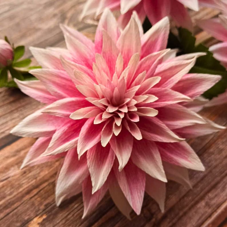 Crepe paper dahlia flower bouquet, paper flower arrangement, real touch dahlia, artificial dahlia flowers, handmade paper flowers for decor