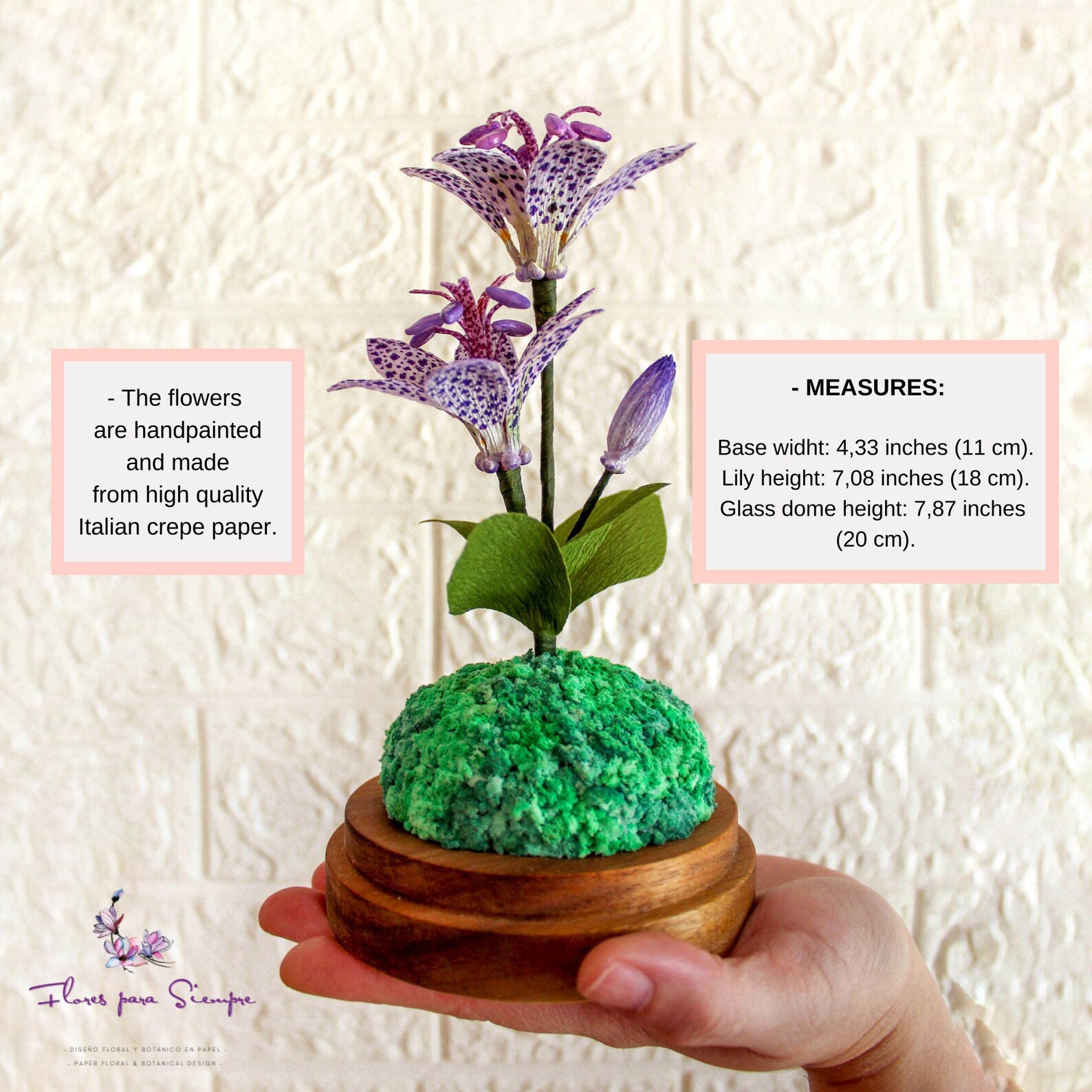 Flower Glass Dome Flower Display Decor Glass Dome Flower Etsy