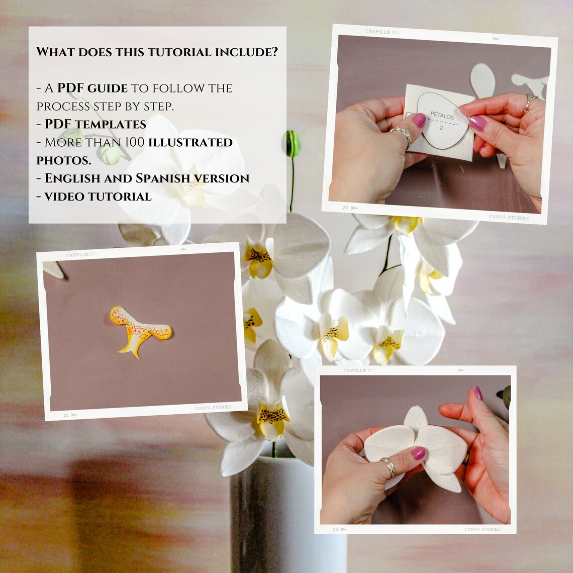Crepe Paper Flower Template Paper Orchids How to Make Crepe Etsy