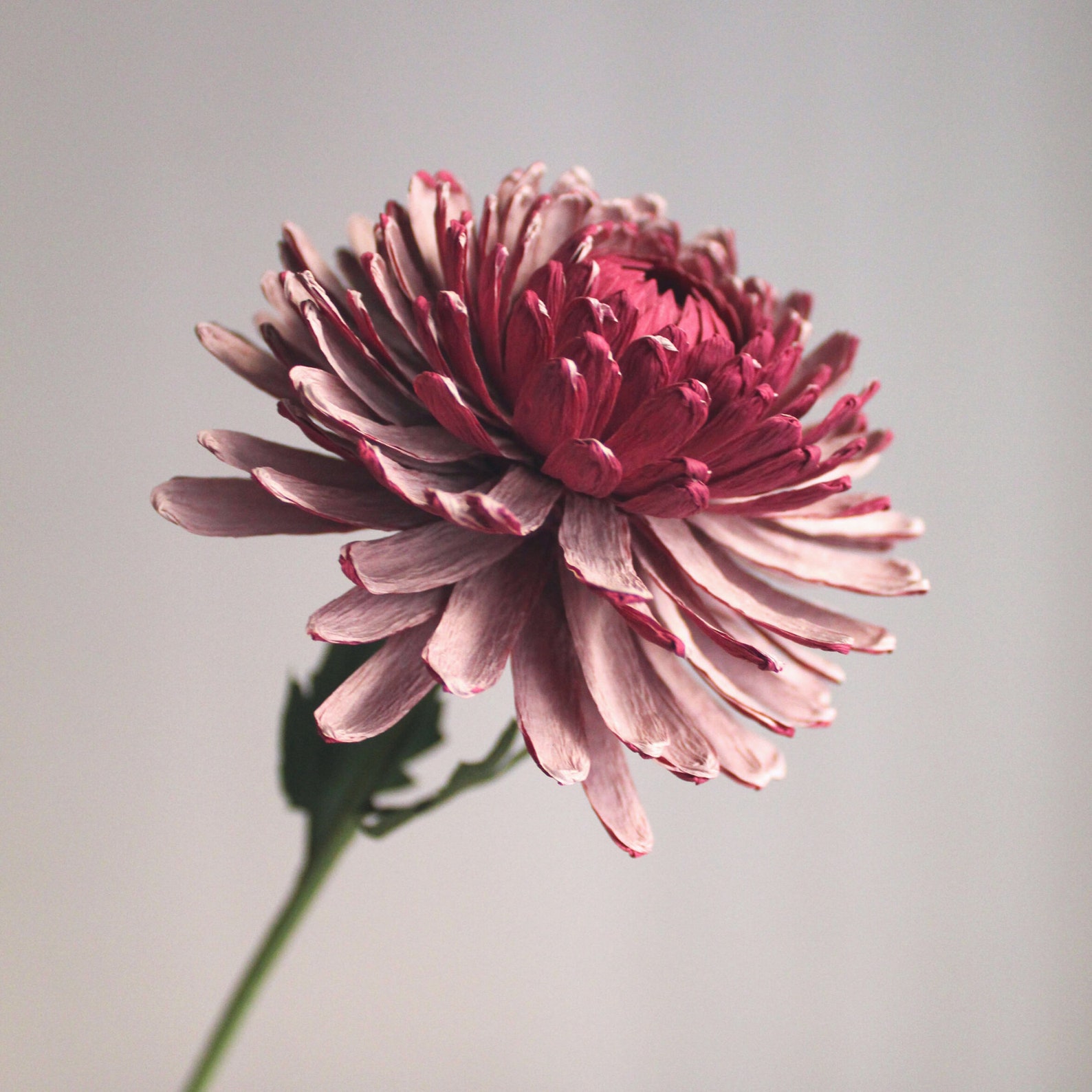 Chrysanthemums Paper Flower Arrangement Realistic Crepe Paper Etsy