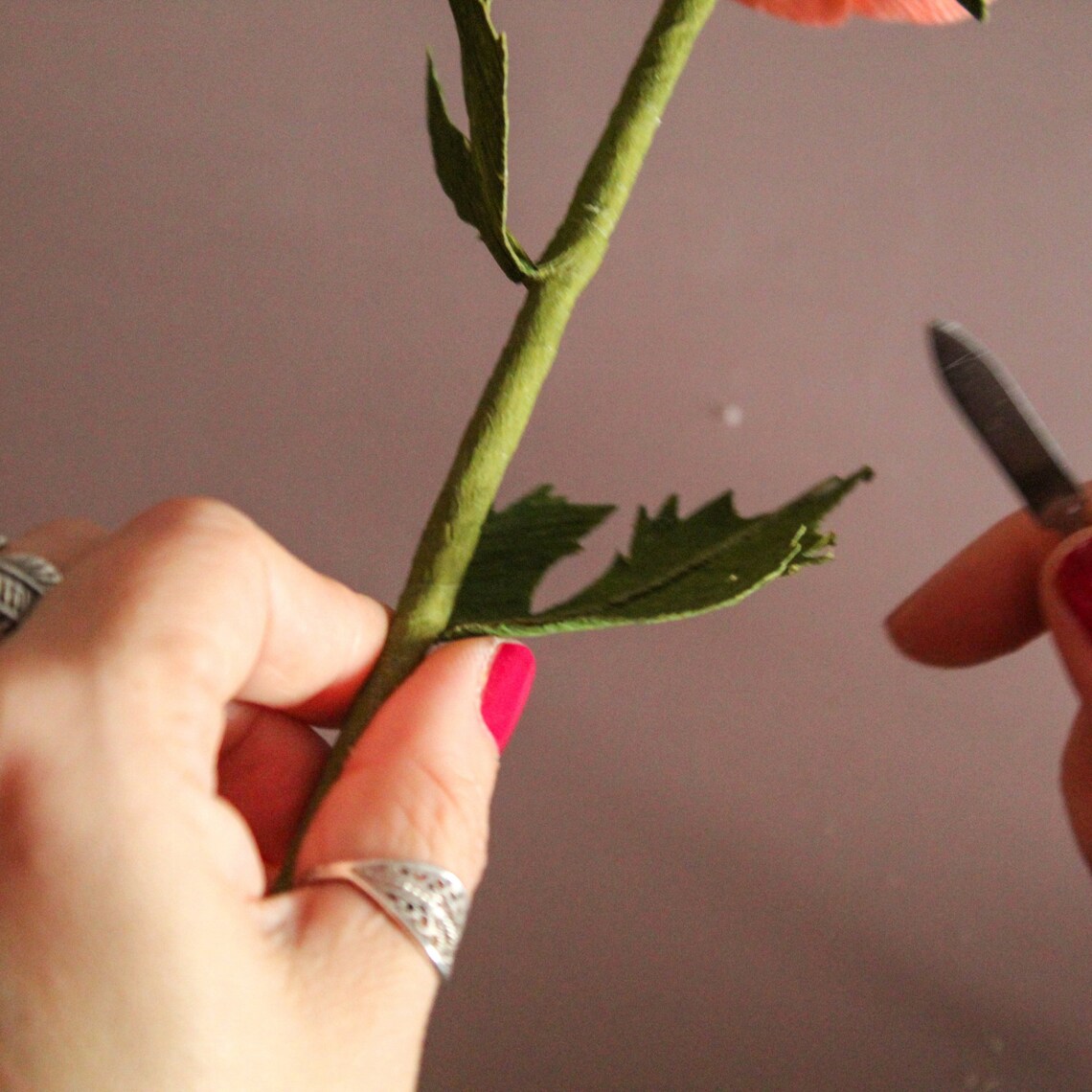 Crepe Paper Ranunculus Template Pdf Paper Flower Tutorials Etsy