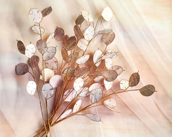 Papier-Lunaria Zweige, handgemachte Judaspfennig-Stiele für Zuhause, Hochzeit & Weihnachtsdeko, langlebige umweltfreundliche Blumen