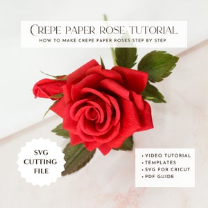 Crepe paper rose template, how to make paper rose, paper flower tutorial, video tutorial, step by step guide, pdf tutorial, diy paper flower