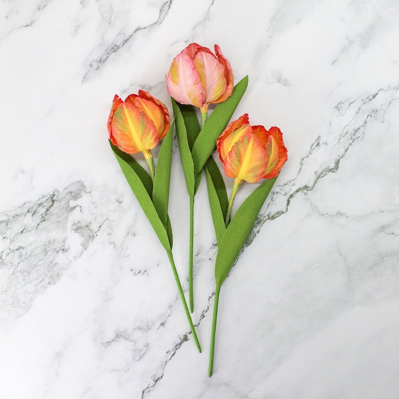 Close-up of a single pink crepe paper parrot tulip, showcasing realistic texture and color