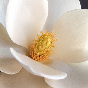 Crepe paper flowers magnolia stems, realistic paper flowers, paper magnolia flower gift, southern magnolia, handmade paper flowers for decor