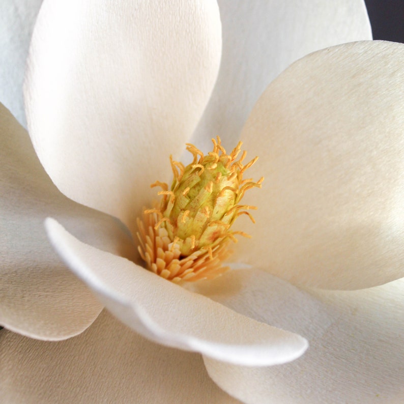 Crepe paper flowers magnolia stems, realistic paper flowers, paper magnolia flower gift, southern magnolia, handmade paper flowers for decor