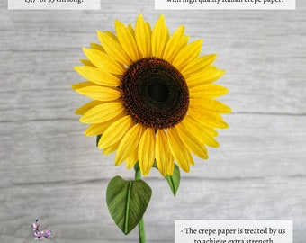 PAPER JAZZ Decorazioni Girasole Per Feste – Set Con 9 Ventagli Di Carta E Ghirlande – Rosa E Arancione – Per Matrimoni, Baby Shower, Compleanni - 5