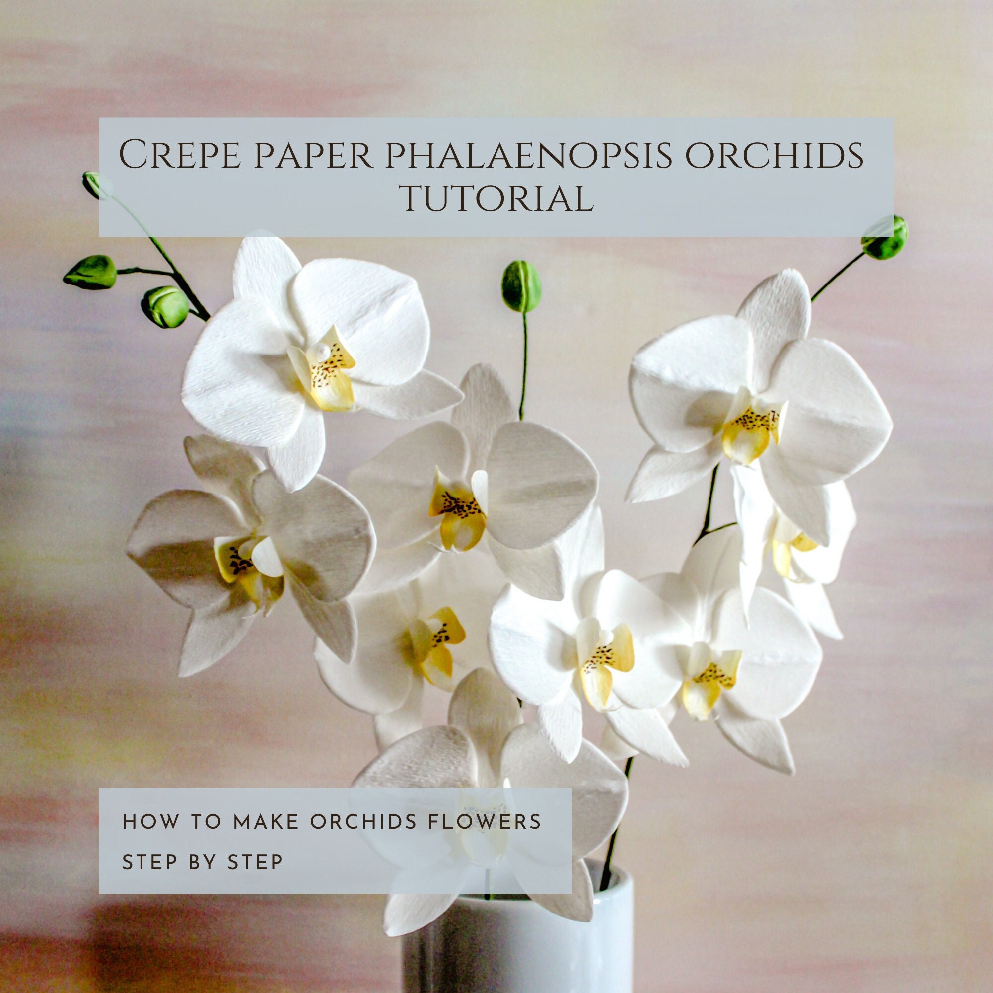 Crepe Paper Flower Template Paper Orchids How to Make Crepe - Etsy