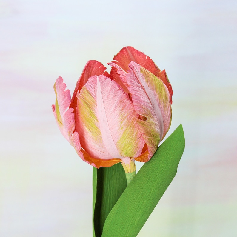 Vibrant orange single stem crepe paper parrot tulip, perfect for realistic floral decor