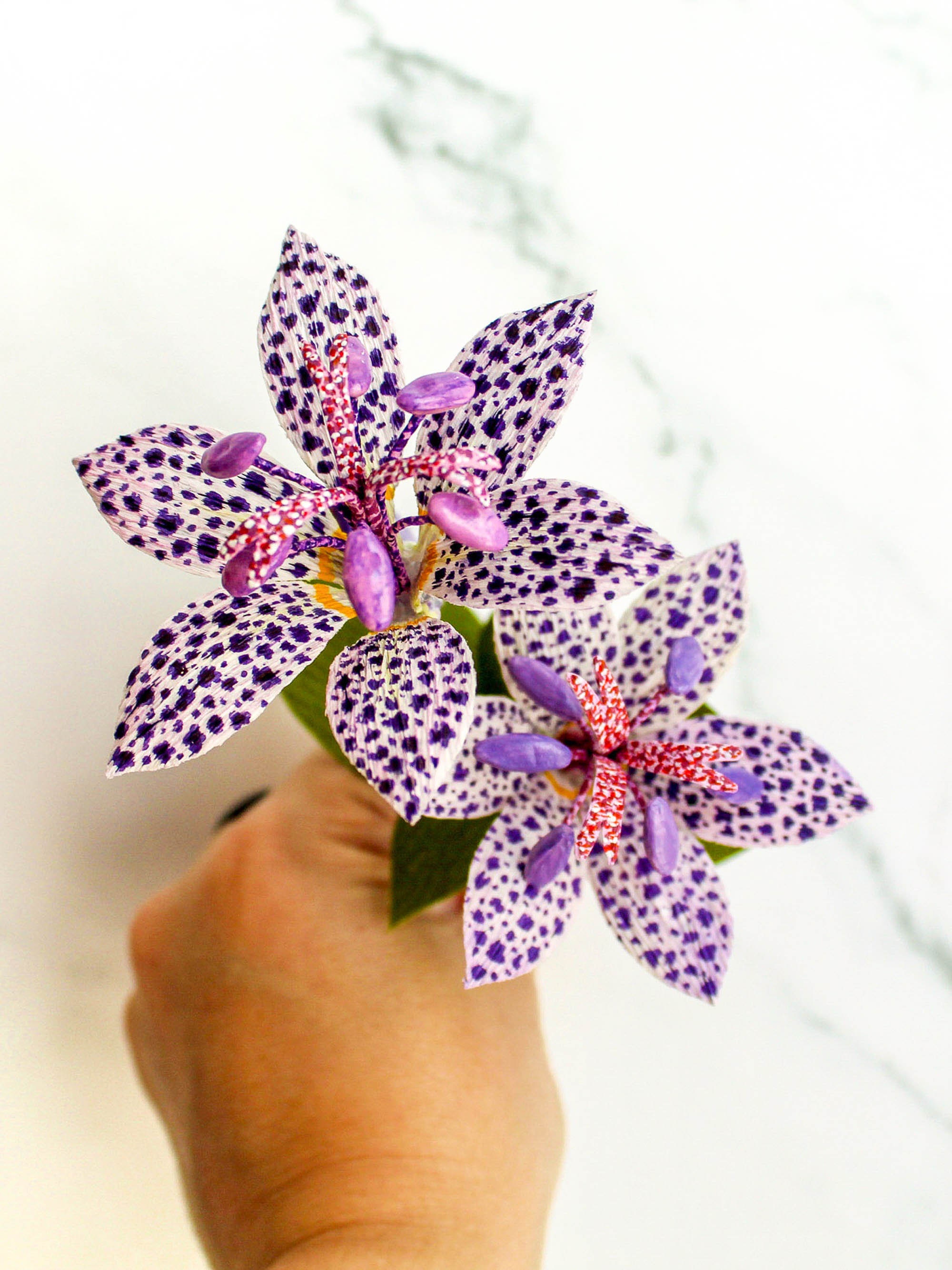 Flower Glass Dome Flower Display Decor Glass Dome Flower Etsy